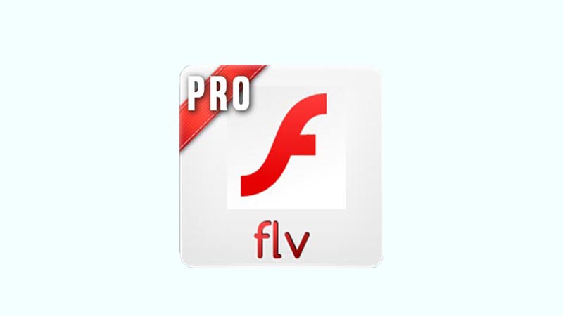 GetFLV Pro 30.2307.13.0 download the new version for windows
