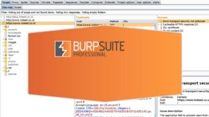 Burp Suite Professional 2023.10.2.3 for windows download free