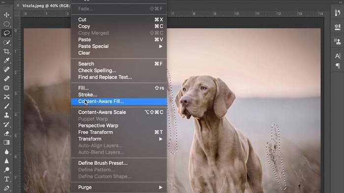 Download Adobe Photoshop CC 2020 Portable Windows 10